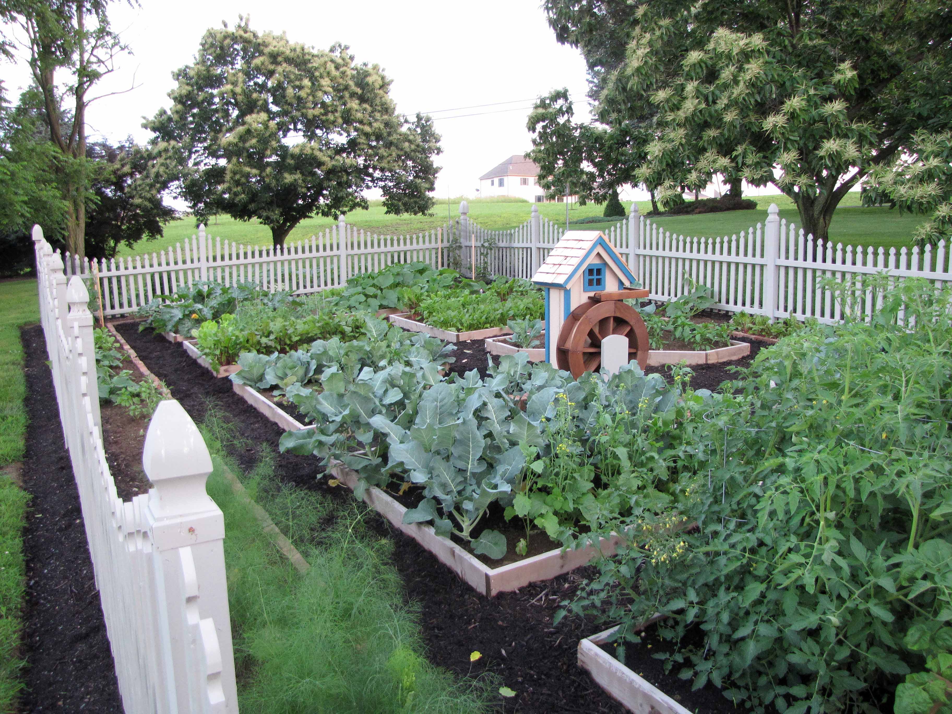 Raised Bed Garden Vegetables Garden Design