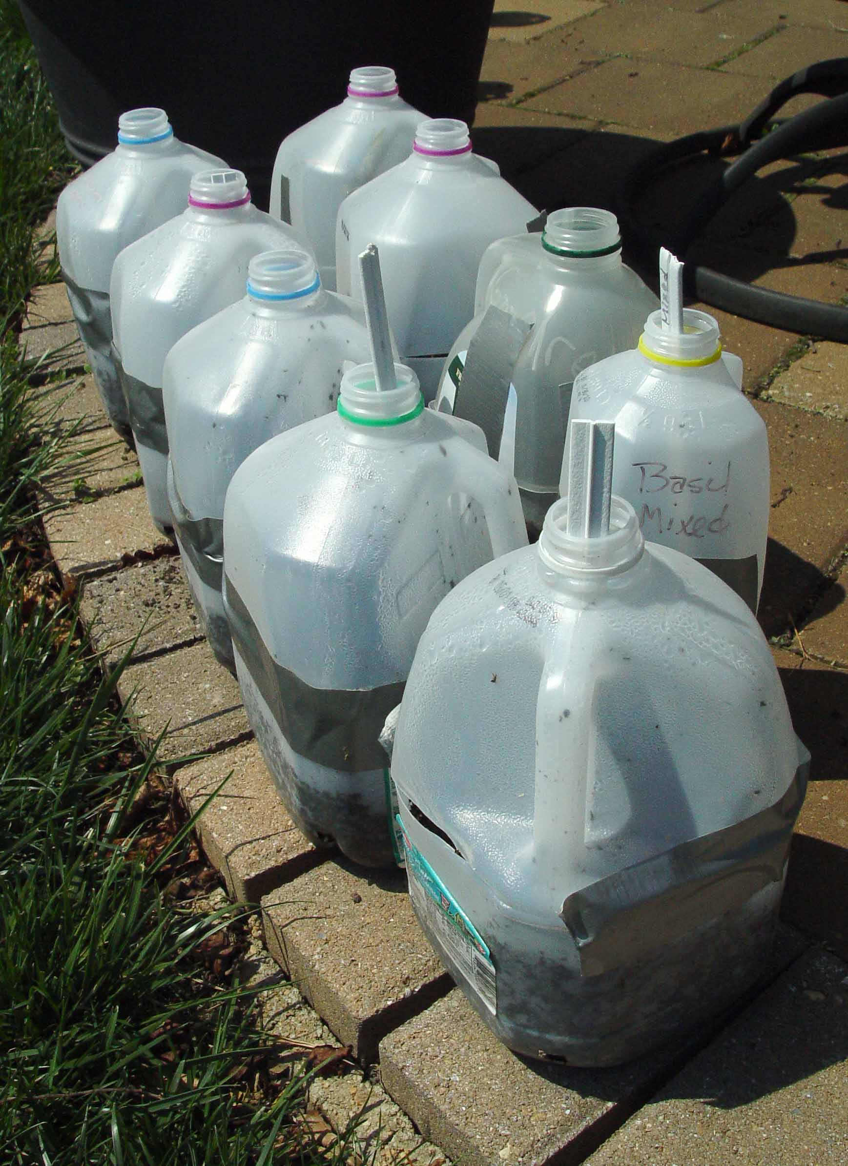 Winter Sowing Seeds Garden Housecalls