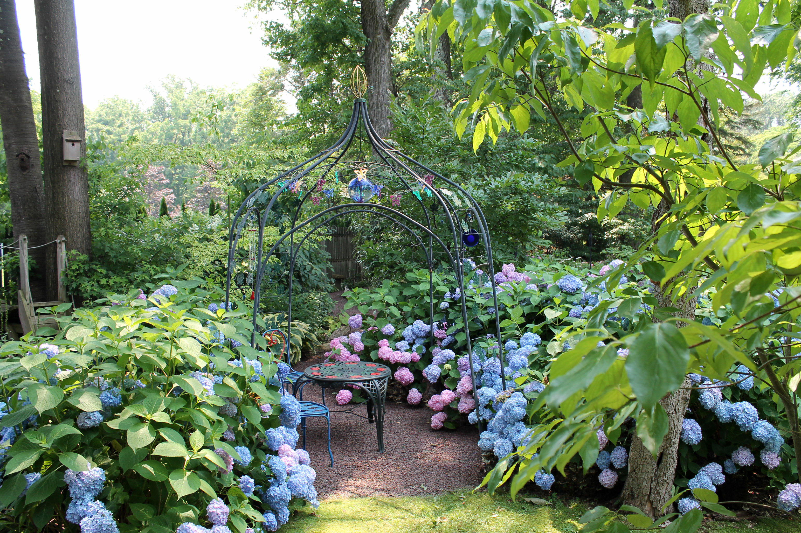 Two Great Gardens | Garden Housecalls