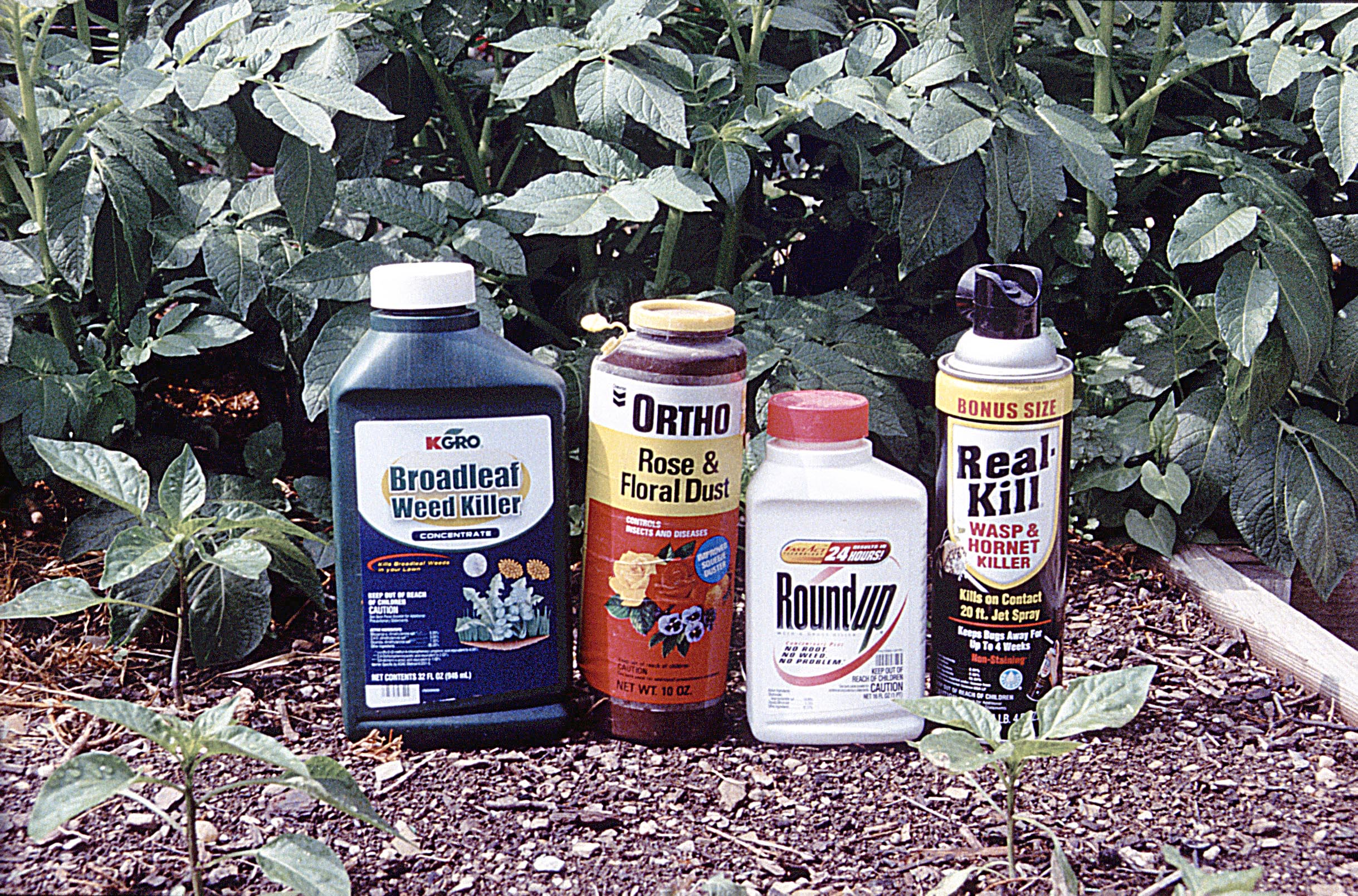 top-10-reasons-why-you-really-should-read-the-pesticide-label-garden