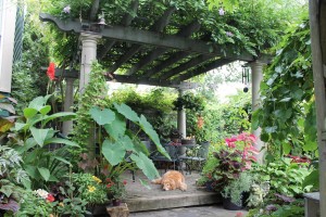 A pergola gives privacy and enclosure to this patio.