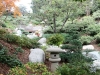 35Balboa.Japanese.Garden