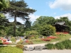 Kew.Japanese.garden