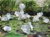 Kew.waterlilies.Chihuly.glass