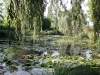 Giverny.lily.pond