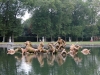 Versailles.Apollo.fountain