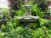 Buffalo Botanic Garden fountain.