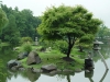Buffalo Japanese Garden.
