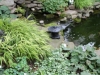 shady-water_-garden-lancave