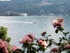 Lake.Maggiore.boat.roses.jpg