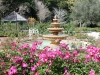 1Leu.rose_.garden
