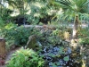 rainforest-garden-heathcote