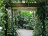 selby-conservatory-archway