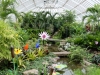 24phipps-conservatory6-13
