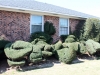 topiary.side.foundation.jpg