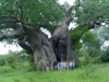 group-under-baobab1