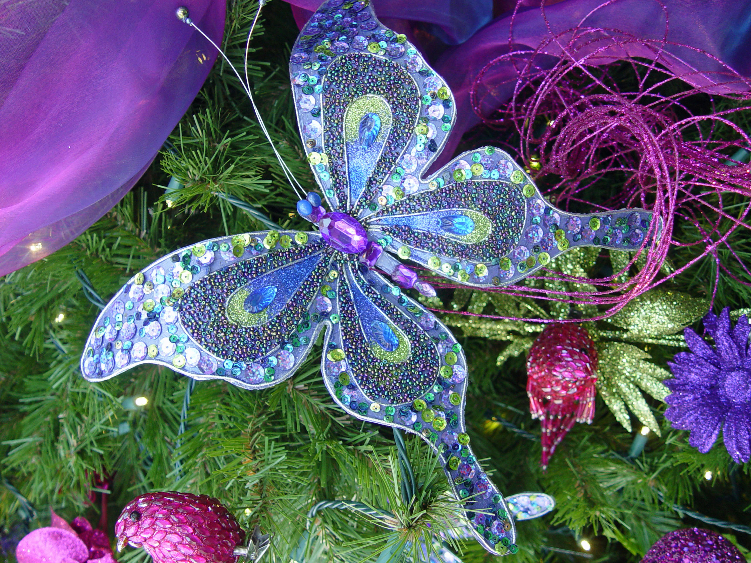 Perfect Christmas tree topper = a butterfly!, Lewis Ginter