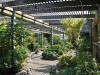25Raulston.Japanese.Garden.lattice.roof_