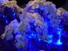 blue-wave-of-white-orchids_edited-3