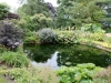 holehird-water_-garden