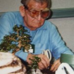George Gracey, Bonsai-Meister