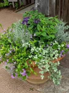 8 Creative Ways to Pot Garden | Garden Housecalls
