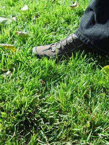 tall.fescue.and.shoe