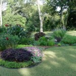Down-Sizing the Lawn