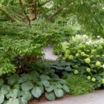 Shrinking the Lawn