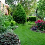 Feeding the Lawn