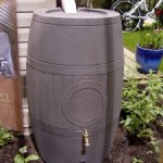 Rain Barrels