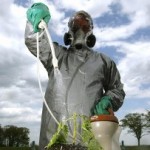 How “Green” Is Your Yard?