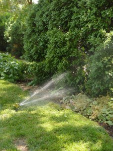 How much water are you wasting in the landscape?