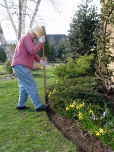 Right after the ground thaws from winter is a good time to edge the beds. The soil is soft at this time.