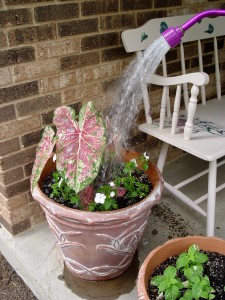 Keep those pots watered!