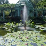 Three garden trips for fall