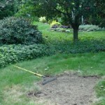 Our so-called “low-maintenance” lawns
