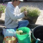 Salvaging Plants