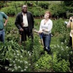 New for Central Pa. Gardeners