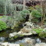 Other Gardens