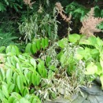 Heat-Busting in the Landscape