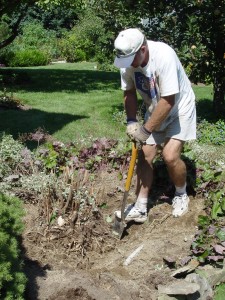dig.shrub.shovel