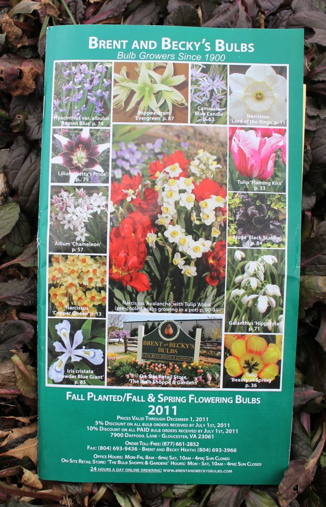 10 Favorite Garden Catalogs Garden Housecalls 4106