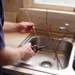 Forcing Branches