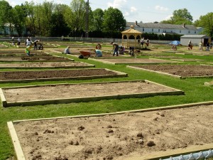 ames.garden.planting2