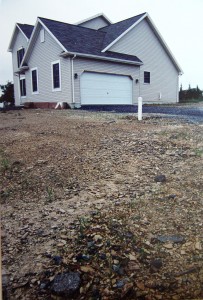 shaly.soil