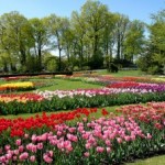Hershey Gardens Turns 75