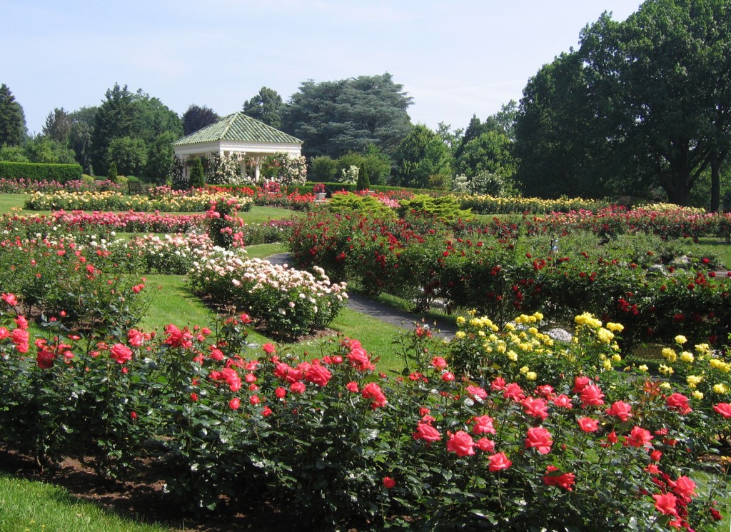 Hershey Gardens Turns 75 | Garden Housecalls