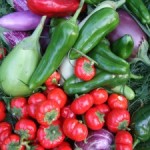 High-Octane Veggie Gardening