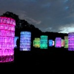 A Garden of Light